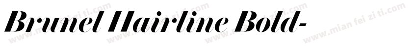 Brunel Hairline Bold字体转换